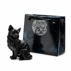 Gato Negro con Bolsita - Suerte y Protección