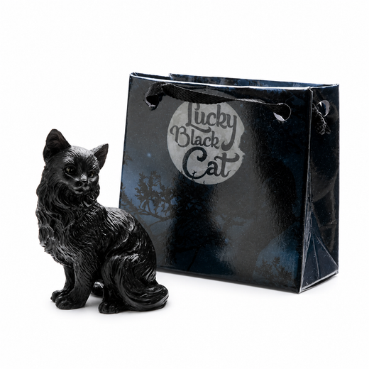 Gato Negro con Bolsita - Suerte y Protección