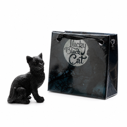 Gato Negro con Bolsita - Suerte y Protección