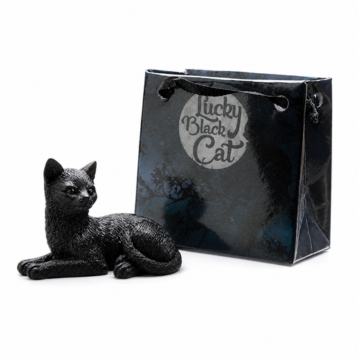 Gato Negro con Bolsita - Suerte y Protección