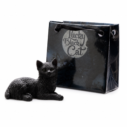 Gato Negro con Bolsita - Suerte y Protección