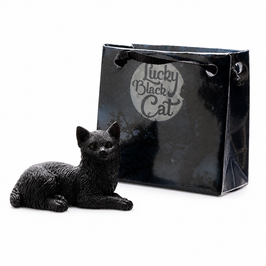 Gato Negro con Bolsita - Suerte y Protección