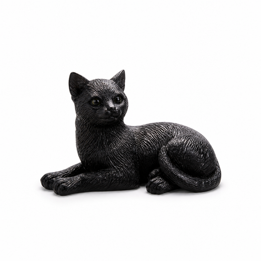 Gato Negro - Suerte y Proteccion