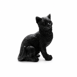Gato Negro - Suerte y Proteccion