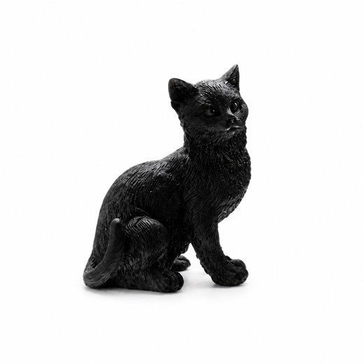 Gato Negro - Suerte y Proteccion