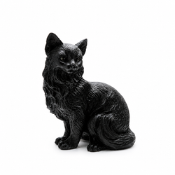 Gato Negro - Suerte y Proteccion