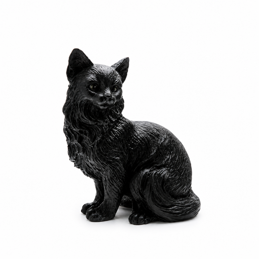 Gato Negro - Suerte y Proteccion