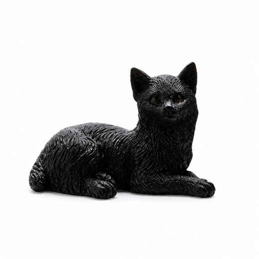 Gato Negro - Suerte y Proteccion