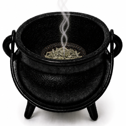 Hierbas de Salvia – Purificación Energética y Claridad
