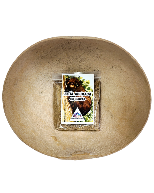 Jutia ahumada para Ofrendas - Tradición y Apertura de Caminos
