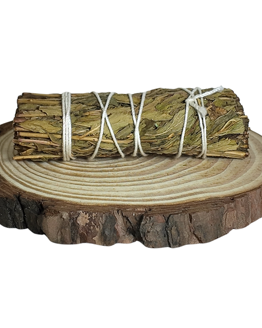 Rollito de Hierbabuena – Renovación Energética y Apertura de Caminos