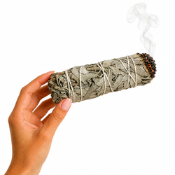 Rollito de Salvia Blanca de California – Limpieza Profunda y Purificación Espiritual