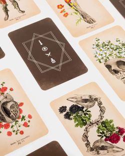 Tarot de Anatomía y Botánica Antiguas – Sabiduría Natural y Conexión Esencial