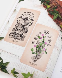 Tarot de Anatomía y Botánica Antiguas – Sabiduría Natural y Conexión Esencial