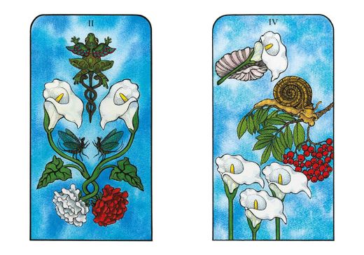 Tarot de los Espíritus de la Naturaleza – Conexión Elemental y Sabiduría Viva