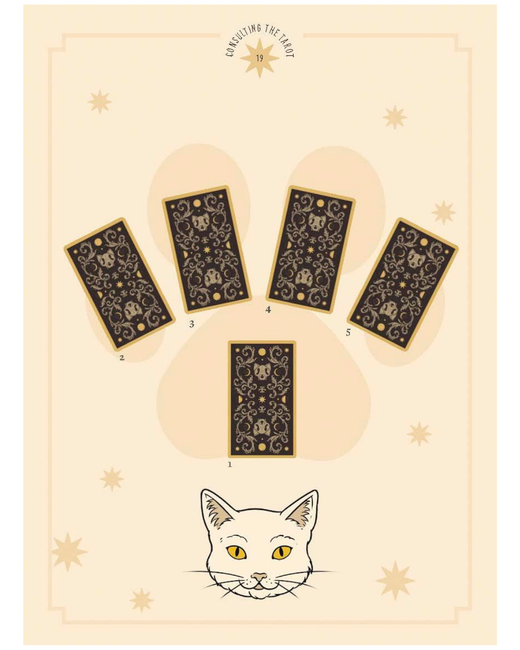 Tarot de los Gatos – Intuición Felina y Mensajes Místicos