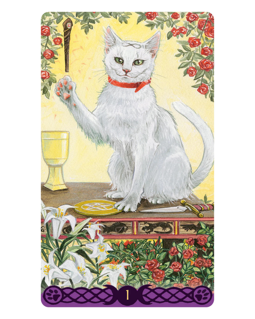 Tarot Pagan Cats – Magia Natural y Sabiduría Ancestral